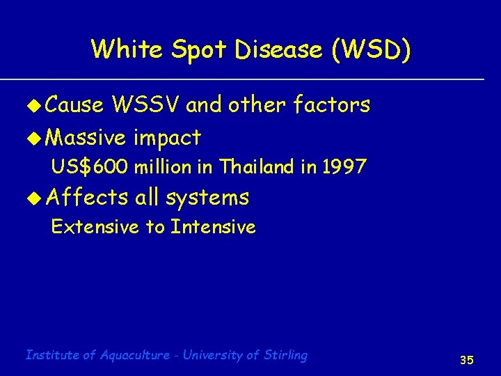 White Spot Disease (WSD) u Cause WSSV and other factors u Massive impact US$600