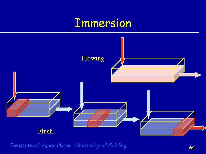 Immersion Flowing Flush Institute of Aquaculture - University of Stirling 64 