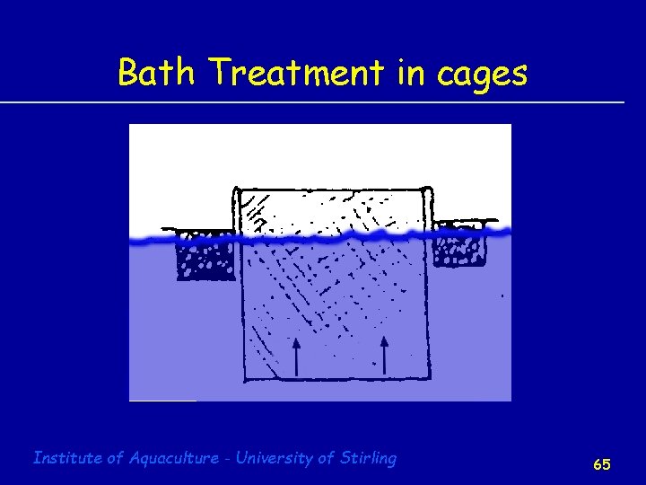 Bath Treatment in cages Institute of Aquaculture - University of Stirling 65 