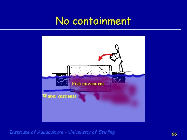 No containment Fish movement Water currents Institute of Aquaculture - University of Stirling 66