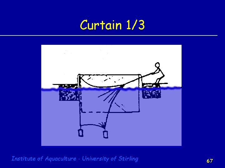 Curtain 1/3 Institute of Aquaculture - University of Stirling 67 