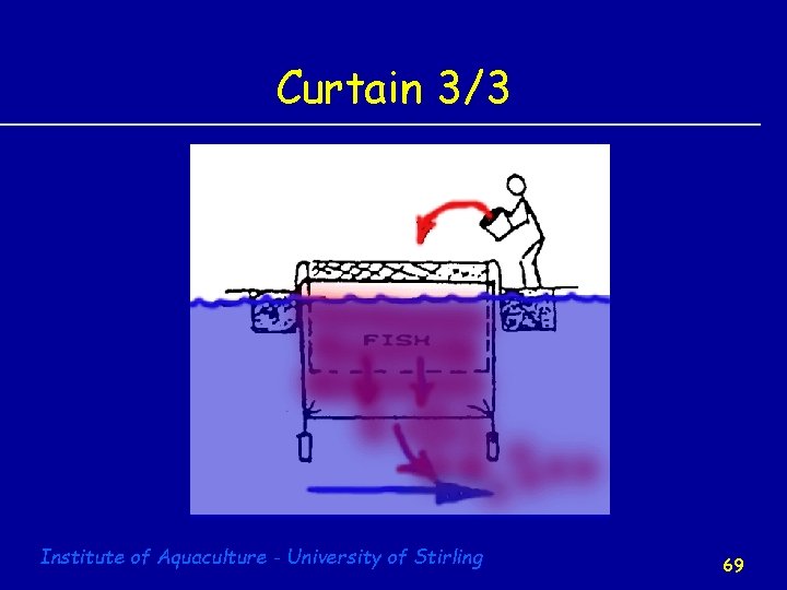 Curtain 3/3 Institute of Aquaculture - University of Stirling 69 