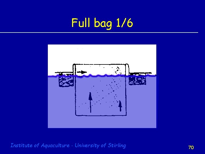 Full bag 1/6 Institute of Aquaculture - University of Stirling 70 