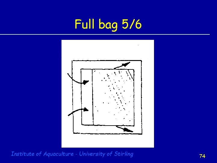 Full bag 5/6 Institute of Aquaculture - University of Stirling 74 