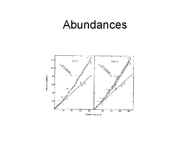 Abundances 