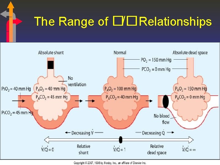 The Range of �/�Relationships 