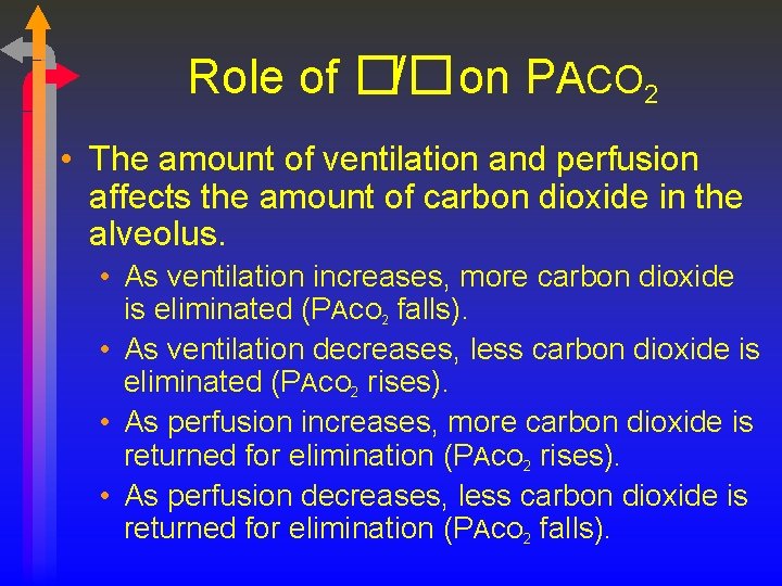 Role of �/�on PACO 2 • The amount of ventilation and perfusion affects the