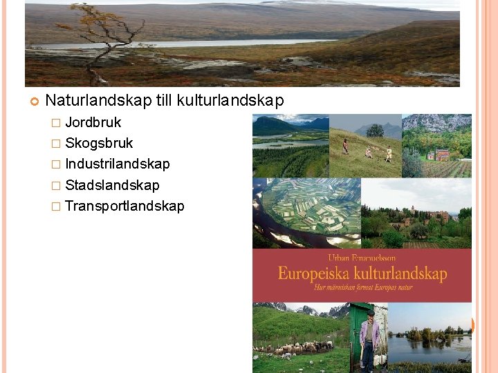  Naturlandskap till kulturlandskap � Jordbruk � Skogsbruk � Industrilandskap � Stadslandskap � Transportlandskap