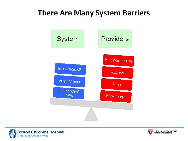 There Are Many System Barriers System Providers Reimbursement Insurance/SSI Employment Independent Living Access Time