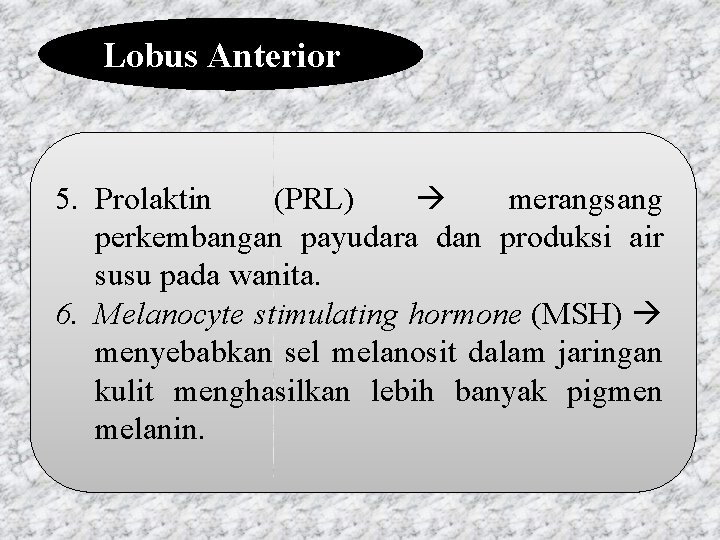 Lobus Anterior 5. Prolaktin (PRL) merangsang perkembangan payudara dan produksi air susu pada wanita.