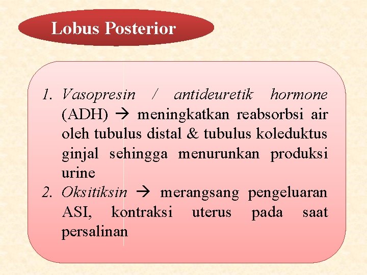 Lobus Posterior 1. Vasopresin / antideuretik hormone (ADH) meningkatkan reabsorbsi air oleh tubulus distal