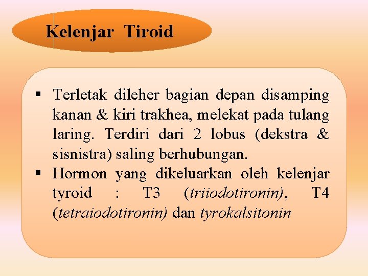 Kelenjar Tiroid § Terletak dileher bagian depan disamping kanan & kiri trakhea, melekat pada