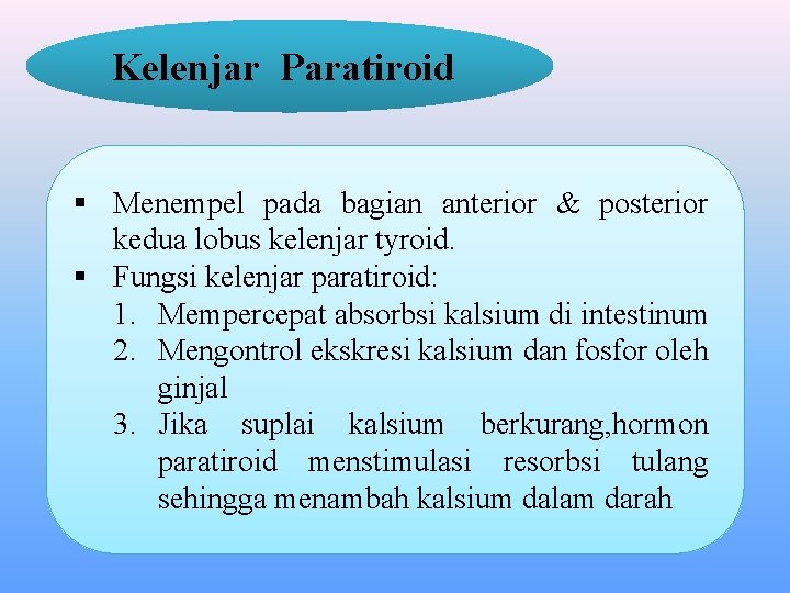 Kelenjar Paratiroid § Menempel pada bagian anterior & posterior kedua lobus kelenjar tyroid. §