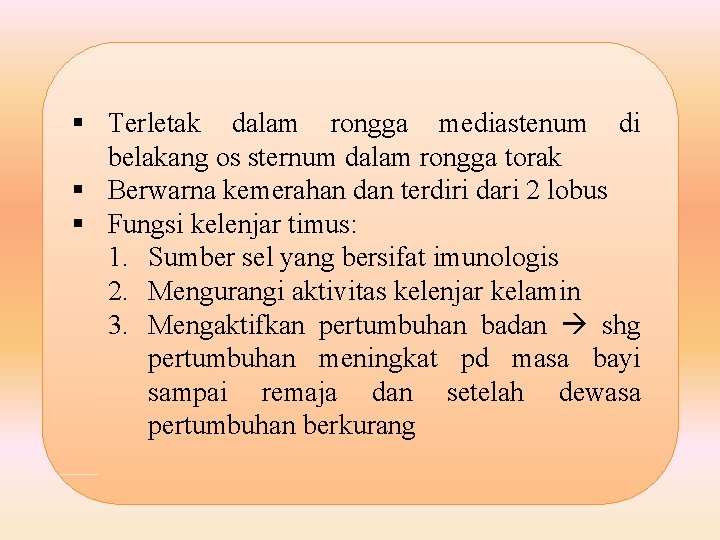 § Terletak dalam rongga mediastenum di belakang os sternum dalam rongga torak § Berwarna