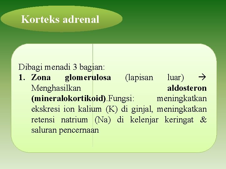 Korteks adrenal Dibagi menadi 3 bagian: 1. Zona glomerulosa (lapisan luar) Menghasilkan aldosteron (mineralokortikoid).