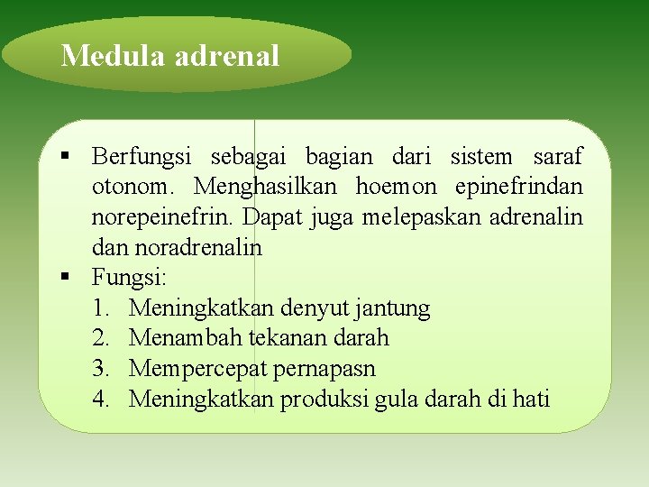 Medula adrenal § Berfungsi sebagai bagian dari sistem saraf otonom. Menghasilkan hoemon epinefrindan norepeinefrin.