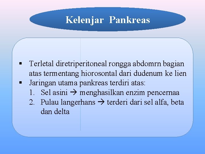 Kelenjar Pankreas § Terletal diretriperitoneal rongga abdomrn bagian atas termentang hiorosontal dari dudenum ke