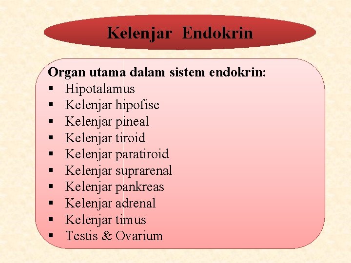 Kelenjar Endokrin Organ utama dalam sistem endokrin: § Hipotalamus § Kelenjar hipofise § Kelenjar