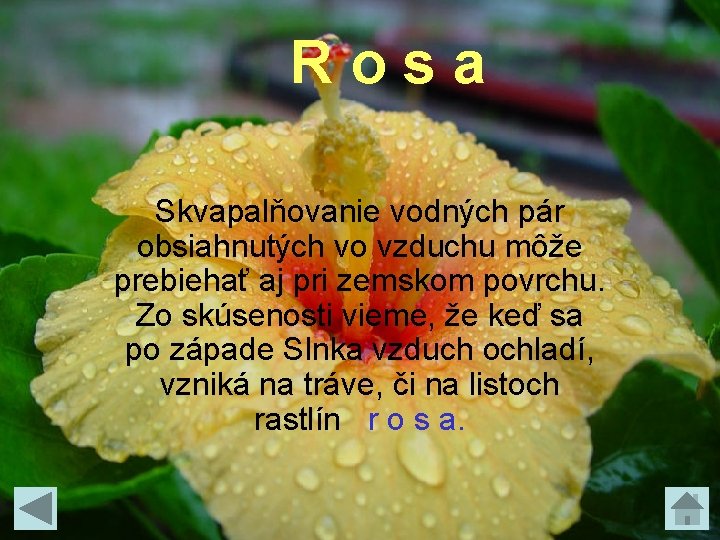 Rosa Skvapalňovanie vodných pár obsiahnutých vo vzduchu môže prebiehať aj pri zemskom povrchu. Zo Rosa Skvapalňovanie vodných pár obsiahnutých vo vzduchu môže prebiehať aj pri zemskom povrchu. Zo