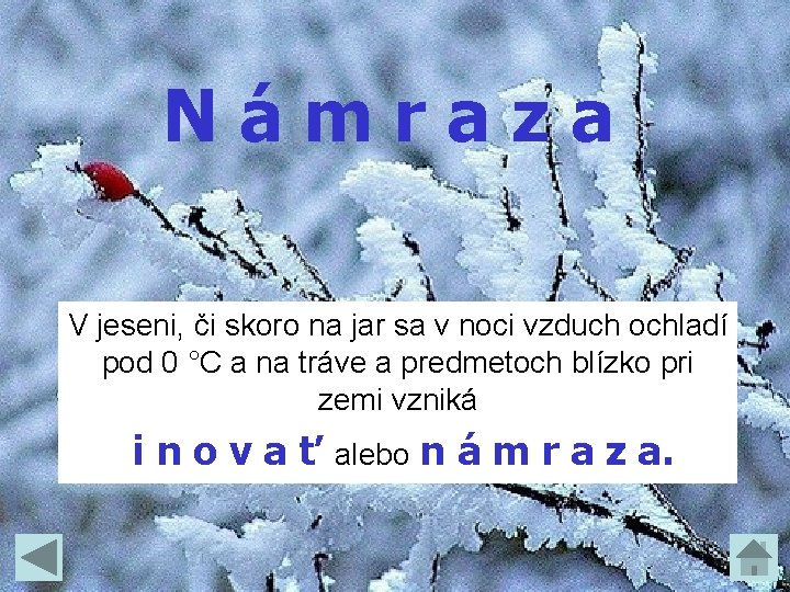 Námraza V jeseni, či skoro na jar sa v noci vzduch ochladí pod 0 Námraza V jeseni, či skoro na jar sa v noci vzduch ochladí pod 0
