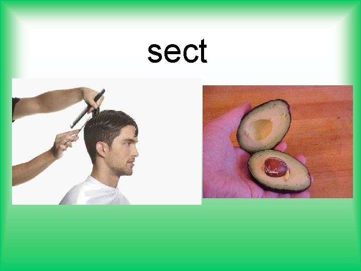 sect 