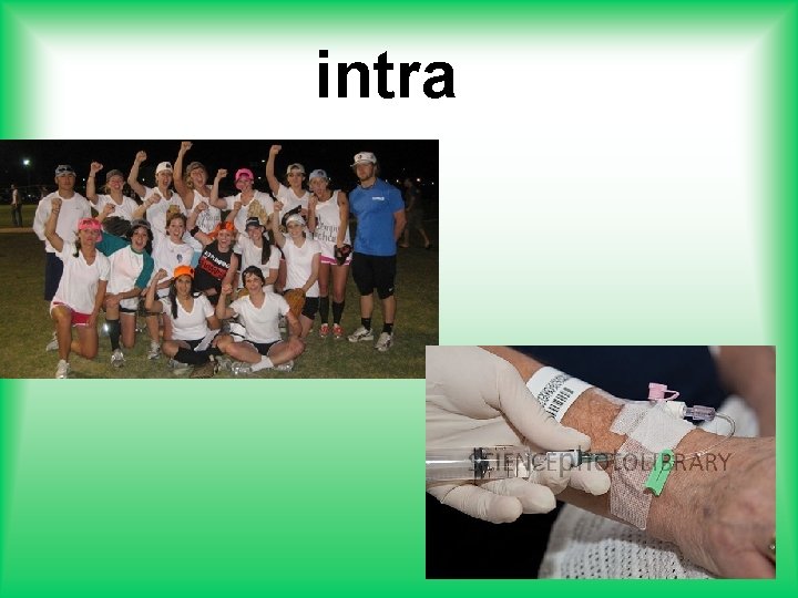 intra 