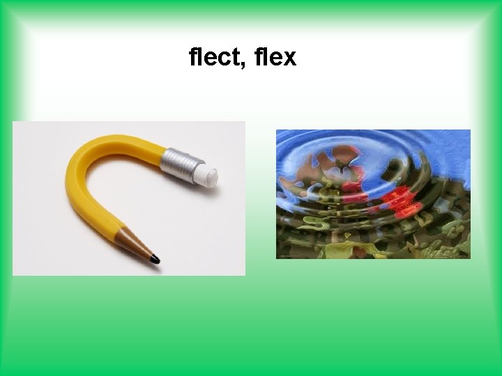 flect, flex 