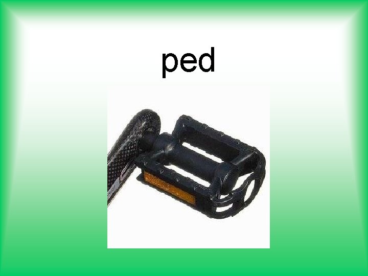 ped 