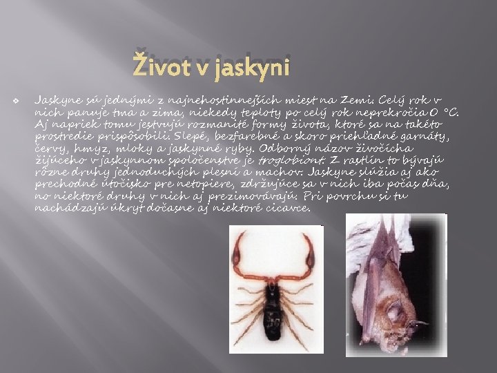 Život v jaskyni v Jaskyne sú jednými z najnehostinnejších miest na Zemi. Celý rok