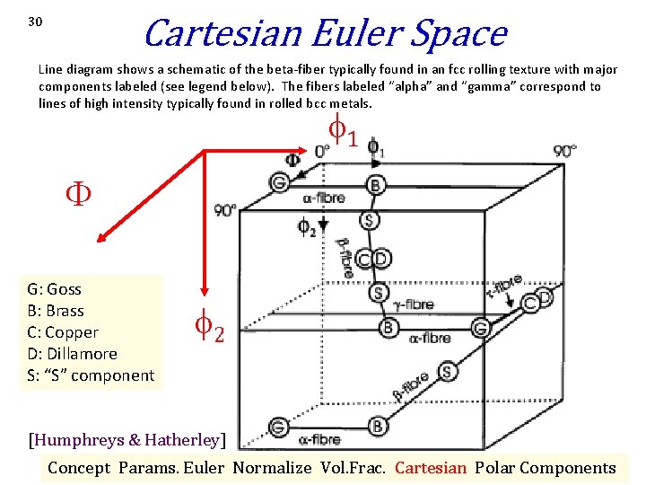 Cartesian Euler Space 30 Line diagram shows a schematic of the beta-fiber typically found Cartesian Euler Space 30 Line diagram shows a schematic of the beta-fiber typically found