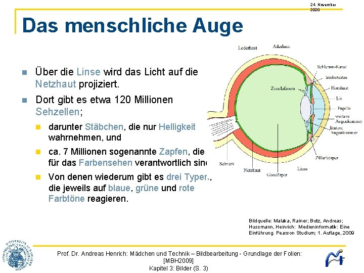 24. November 2020 Das menschliche Auge Über die Linse wird das Licht auf die