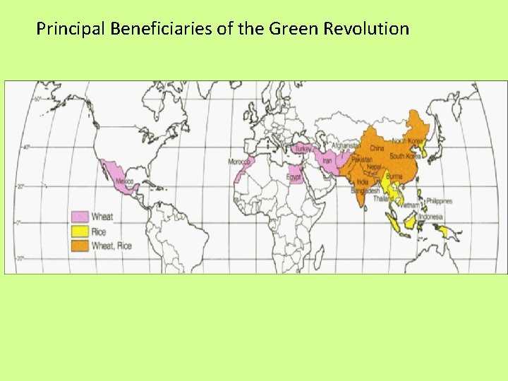 Principal Beneficiaries of the Green Revolution Principal Beneficiaries of the Green Revolution