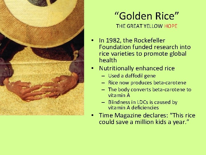 “Golden Rice” THE GREAT YELLOW HOPE • In 1982, the Rockefeller Foundation funded research