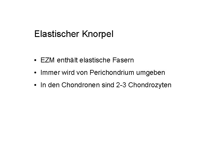 Elastischer Knorpel • EZM enthält elastische Fasern • Immer wird von Perichondrium umgeben •