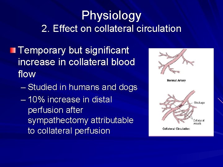 Physiology 2. Effect on collateral circulation Temporary but significant increase in collateral blood flow