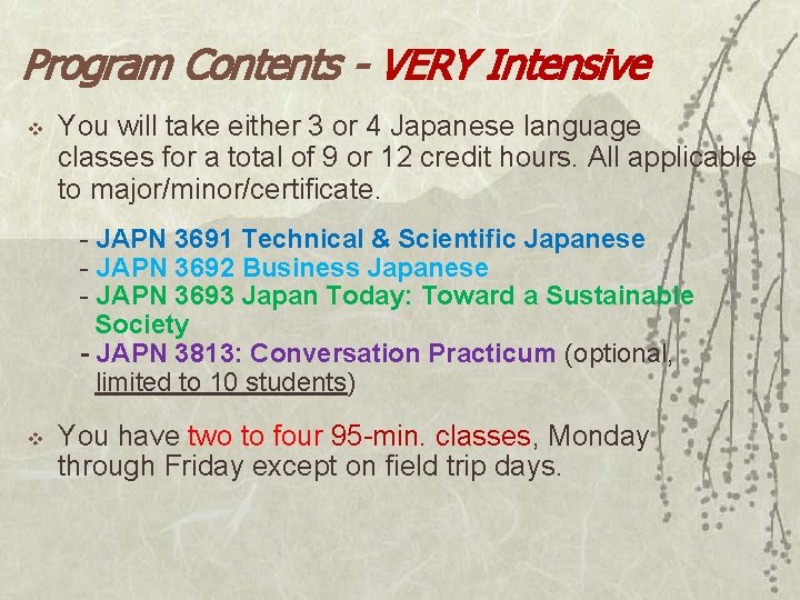 Program Contents - VERY Intensive v You will take either 3 or 4 Japanese
