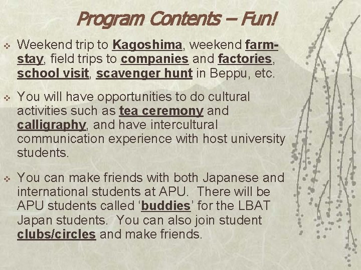 Program Contents – Fun! v Weekend trip to Kagoshima, weekend farmstay, field trips to