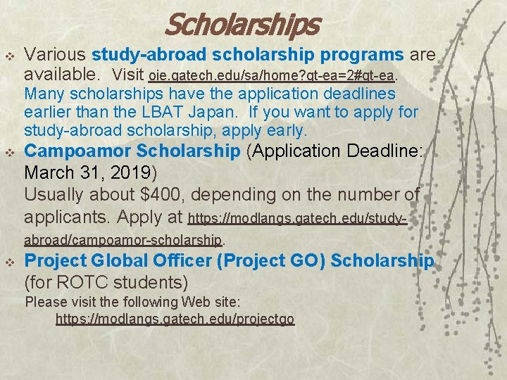 Scholarships v Various study-abroad scholarship programs are available. Visit oie. gatech. edu/sa/home? qt-ea=2#qt-ea. Many