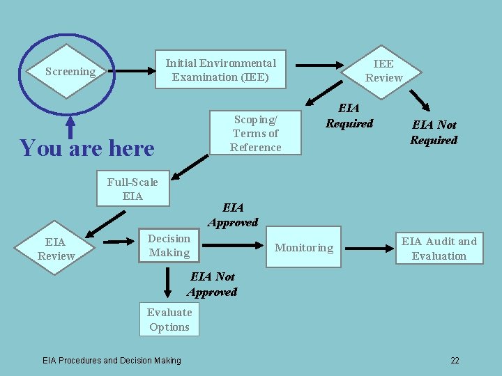 Initial Environmental Examination (IEE) Screening Scoping/ Terms of Reference You are here Full-Scale EIA