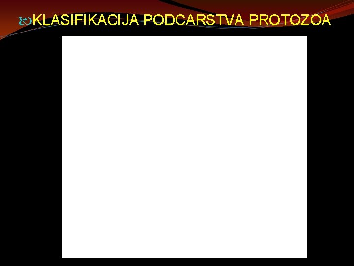  KLASIFIKACIJA PODCARSTVA PROTOZOA 