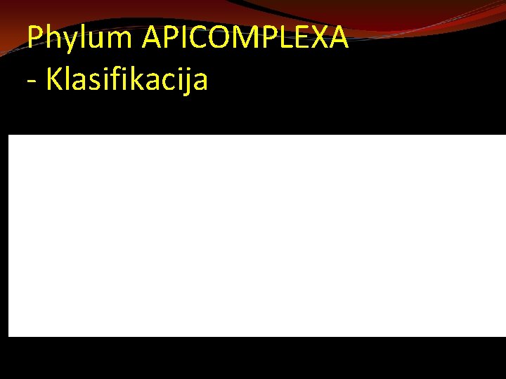 Phylum APICOMPLEXA - Klasifikacija 