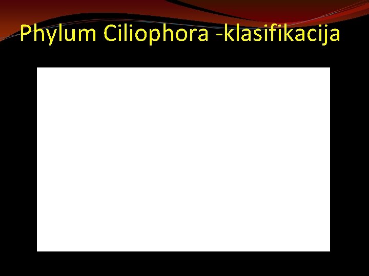 Phylum Ciliophora -klasifikacija 