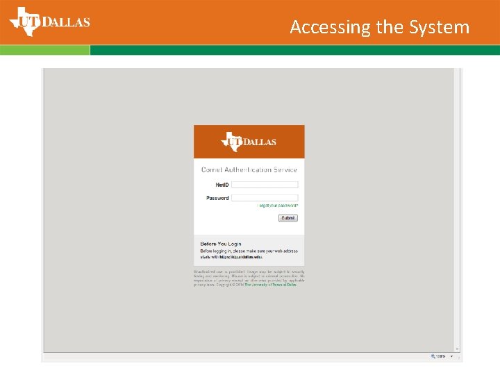 Accessing the System 