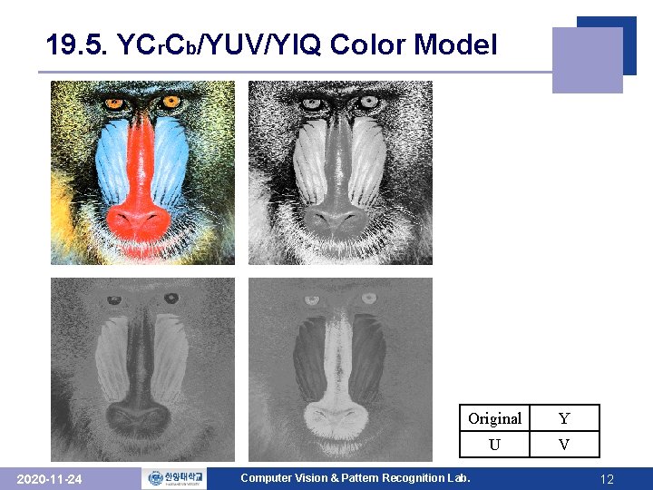 19. 5. YCr. Cb/YUV/YIQ Color Model 2020 -11 -24 Original Y U V Computer