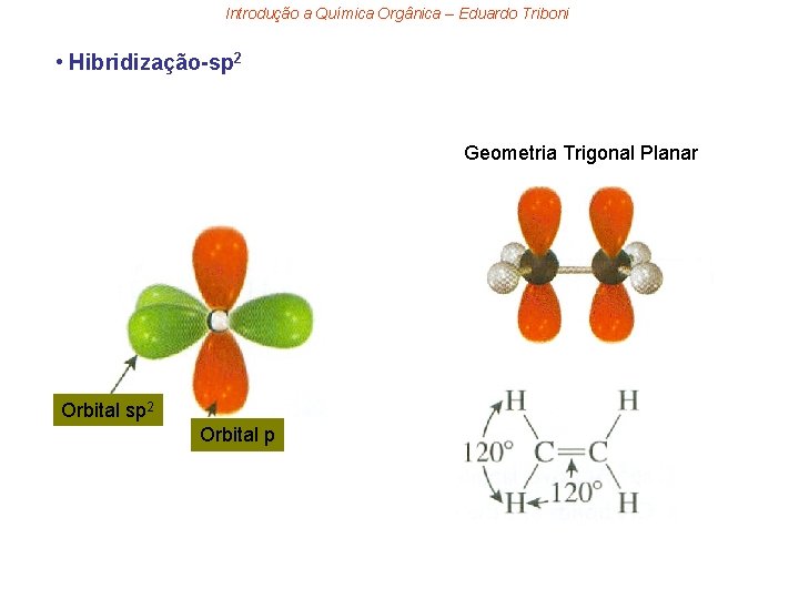 Introdução a Química Orgânica – Eduardo Triboni • Hibridização-sp 2 Geometria Trigonal Planar Orbital