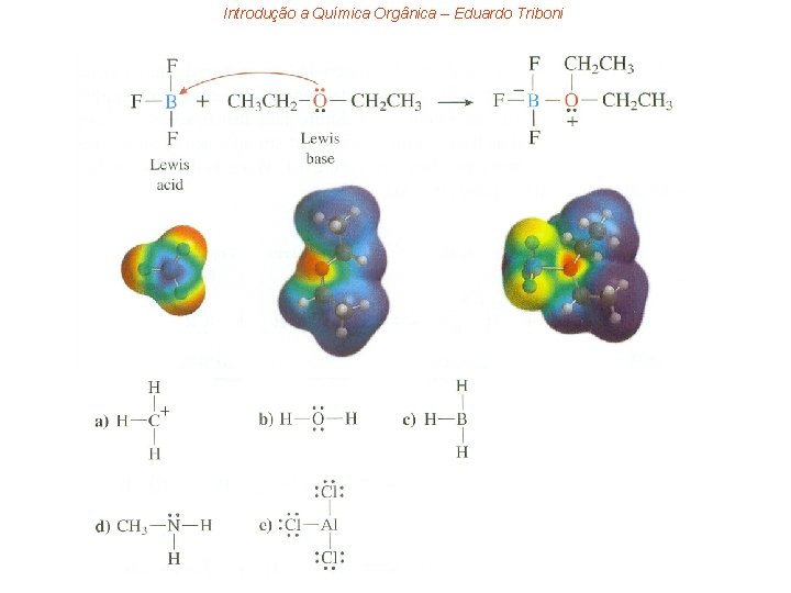 Introdução a Química Orgânica – Eduardo Triboni 