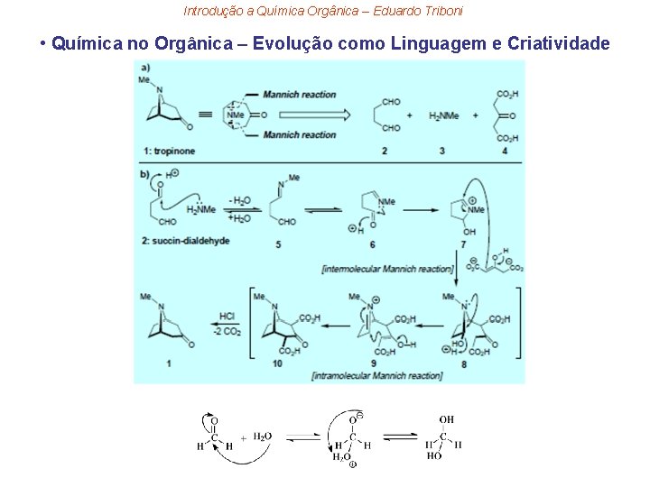 Introdução a Química Orgânica – Eduardo Triboni • Química no Orgânica – Evolução como