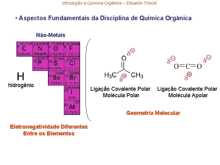 Introdução a Química Orgânica – Eduardo Triboni • Aspectos Fundamentais da Disciplina de Química
