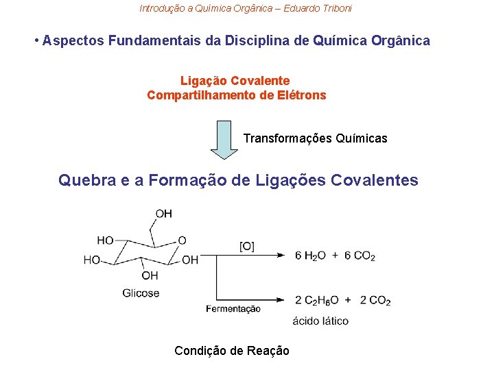 Introdução a Química Orgânica – Eduardo Triboni • Aspectos Fundamentais da Disciplina de Química