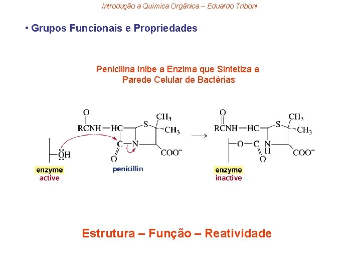 Introdução a Química Orgânica – Eduardo Triboni • Grupos Funcionais e Propriedades Penicilina Inibe